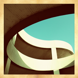 黄色电影一级人跟动物
