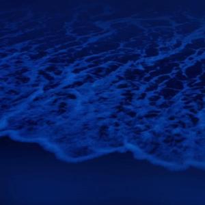 黄色电影一级人跟动物
